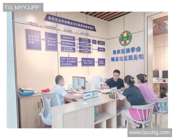 法律视角下的社会治理创新与法律体系的完善探索