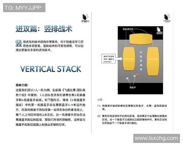 重庆飞盘队的战术解析与控制体系构建探讨